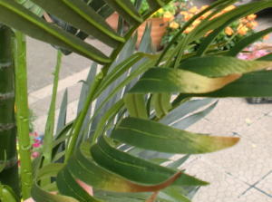 120710art_d.jpg