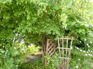 br_120607d.jpg
