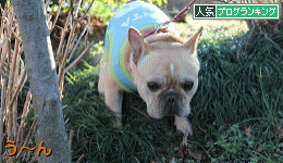 B801.gif