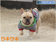 B804.png
