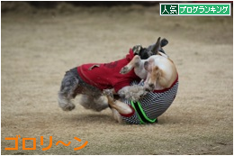 B805.png