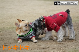 B806.png