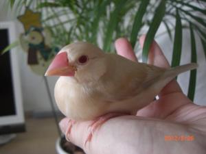 よりちゃん~ごはんの後はのんび~りさせてください!