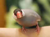 バレンママがんばってますよ~~~!