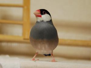 ティダ~横綱級の正面姿?