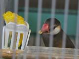 ティダ、、初めて口にするものも、、平気で食べる!食べる!