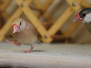 神出鬼没のティダにびっくりよりちゃん!