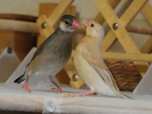 ティダに尻ごみしながら向かうよりちゃん!ティダ姉らしくないよ。。