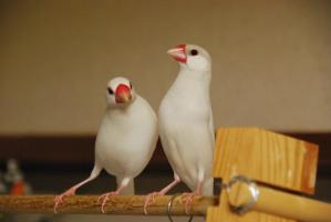 言い寄るありゃりゃ君~最後にはテラの『渇っ』が。。