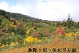 弥陀ヶ原~紅、黄、緑綺麗なんですが天気が。。。