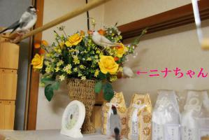 造花に集う面々、、ニナちゃん隠れて崩壊中??