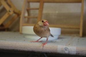 美味しい場所を見つけたね~。ティダがいないの確認ちぅ!