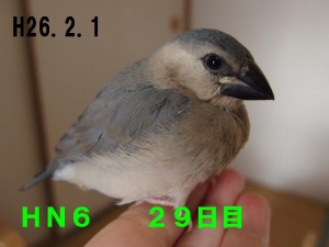 1番子らしく~なんでも積極的で元気ですね~!