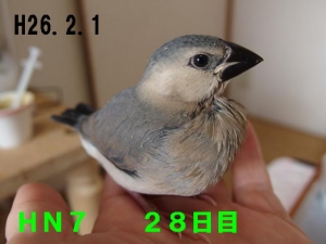 あまり騒がしくないけど、ちゃっかりたくさん食べる要領良し!