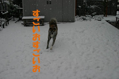 s-130116-20.jpg