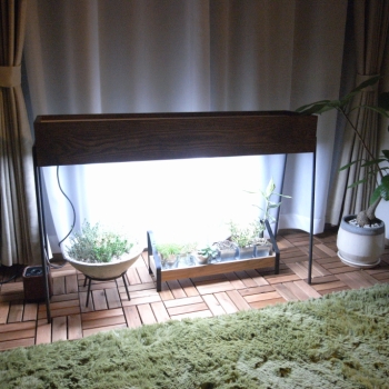 a770.jpg