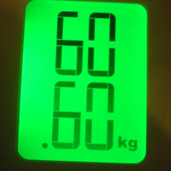 h73.jpg