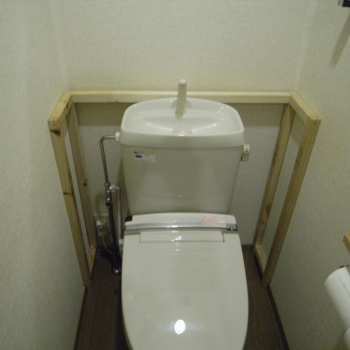 w527.jpg