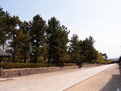 P4200528.jpg