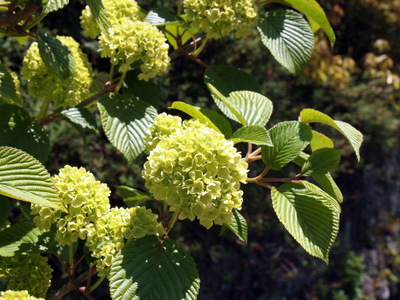 P4220614_20130511233349.jpg