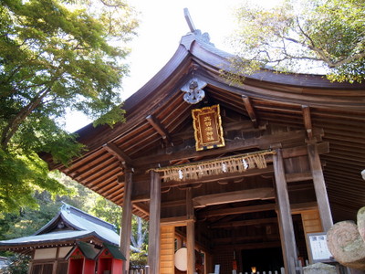 P5020640.jpg