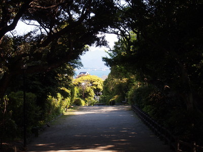P5020651.jpg
