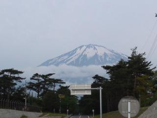 SN3S0373.jpg