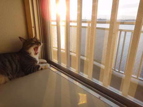 DSC04077.jpg
