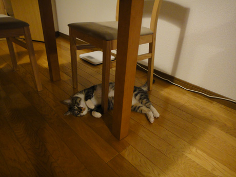 DSC04121.jpg