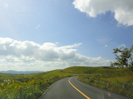 DSC04944.jpg