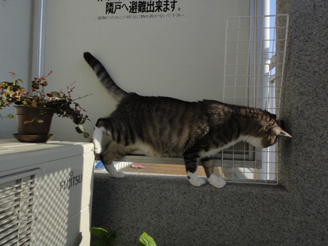DSC05195.jpg