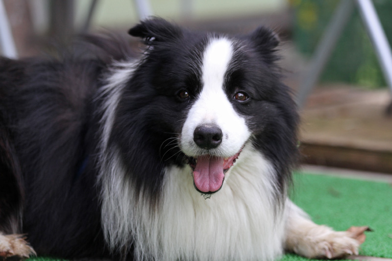 2012_0826dwan 165-80