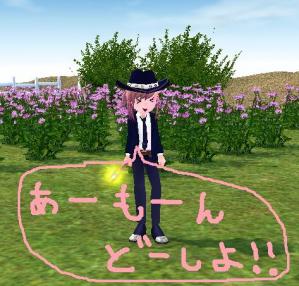 H24.5.2 あーもーん