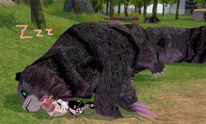 H24.5.2 ZZZ