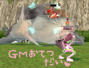 H24.11.11 GM
