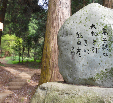 荒立神社・角川春樹氏の句碑がありました