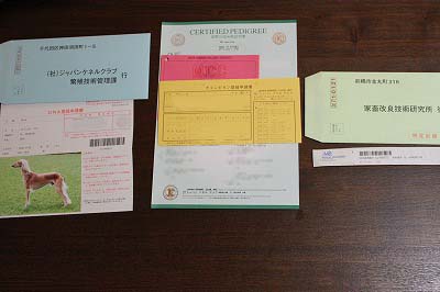 チャンピオン登録書類