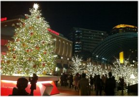 1212232.jpg