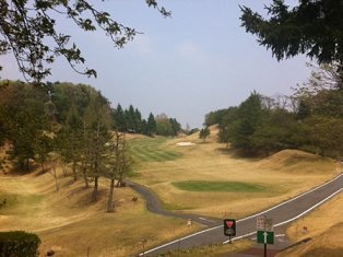 1304221.jpg