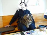 猫カフェ:キャットテイル 膝カールス。 photo:12.12.08 猫カフェ:キャットテイル 膝カールス。 photo:12.12.08