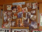 猫カフェ:cafe犬猫人 猫簡易紹介板。 photo:2012.03.18 猫カフェ:cafe犬猫人 猫簡易紹介板。 photo:2012.03.18