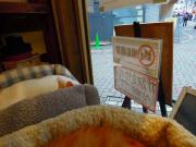 猫カフェ:cafe犬猫人 外からのカメラ撮影はやめてね~、の注意書き。 photo:2012.03.18 猫カフェ:cafe犬猫人 外からのカメラ撮影はやめてね~、の注意書き。 photo:2012.03.18