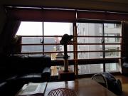 猫カフェ:ねこぅあん 逆行写真。 photo:2012.03.18 猫カフェ:ねこぅあん 逆行写真。 photo:2012.03.18
