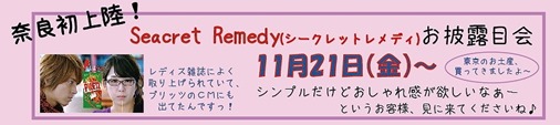 20141118ﾚﾒﾃﾞｨ2