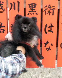 画像1