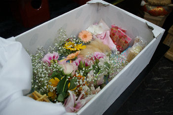 DSC08328.jpg