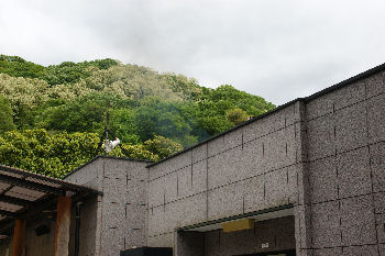 DSC08332.jpg