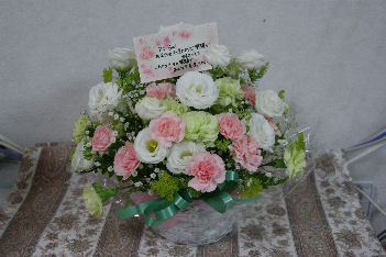DSC08376.jpg