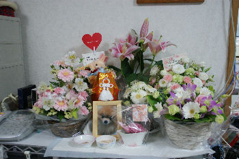 DSC08385.jpg