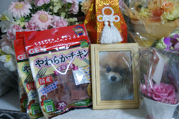 DSC08398.jpg